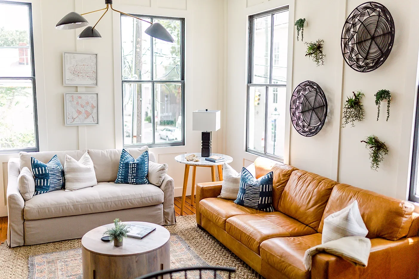 modern living room with air plants