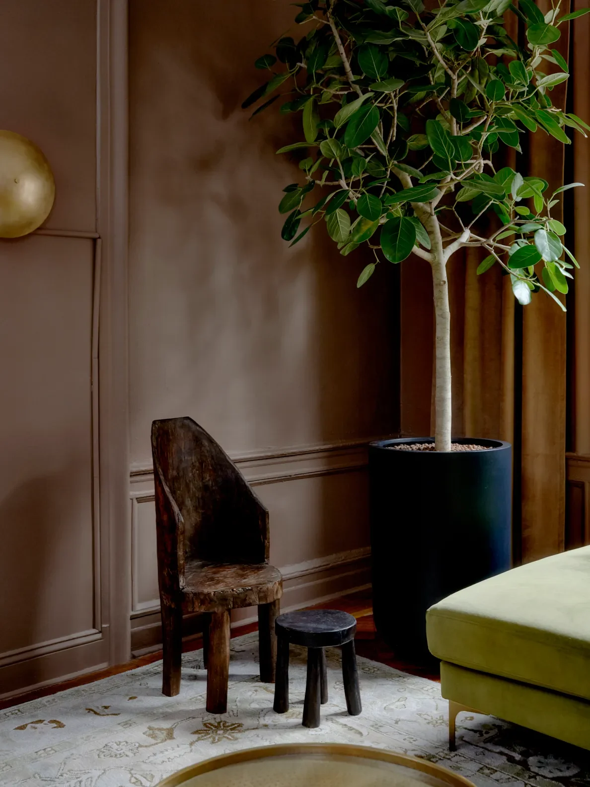 Trees bring an energy and certain company I appreciate. My Danielle Ficus, named Dani, came with me to Brooklyn, and is now in the guest room. [Wanting another indoor tree], I tapped my friend Chris M